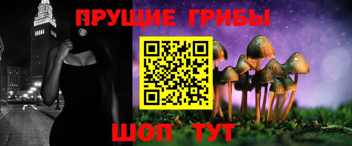 Псилоцибиновые грибы прущие грибы  Вход с VPN  Черногорск  Псилоцибиновые грибы Psilocybe 